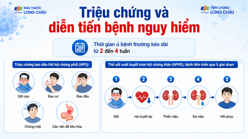 Triệu chứng nhiễm Hantavirus có thể tiến triển rất nhanh