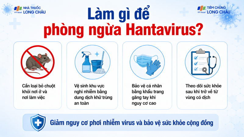 Phòng bệnh là chiến lược quan trọng nhất để đối phó với Hantavirus