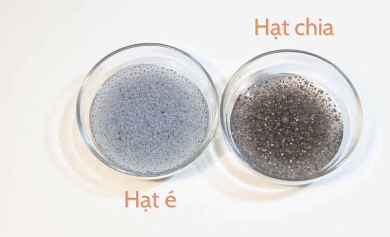 Hạt chia và hạt é loại nào tốt hơn? Hai loại hạt này có gì khác nhau 3