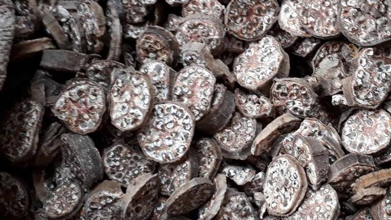 Hạt chuối hột chữa sỏi thận có hiệu quả không? 1