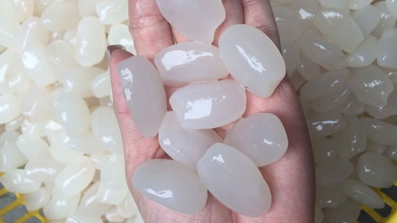 Hạt đác ăn sống được không? Tác dụng khi ăn hạt đác 4