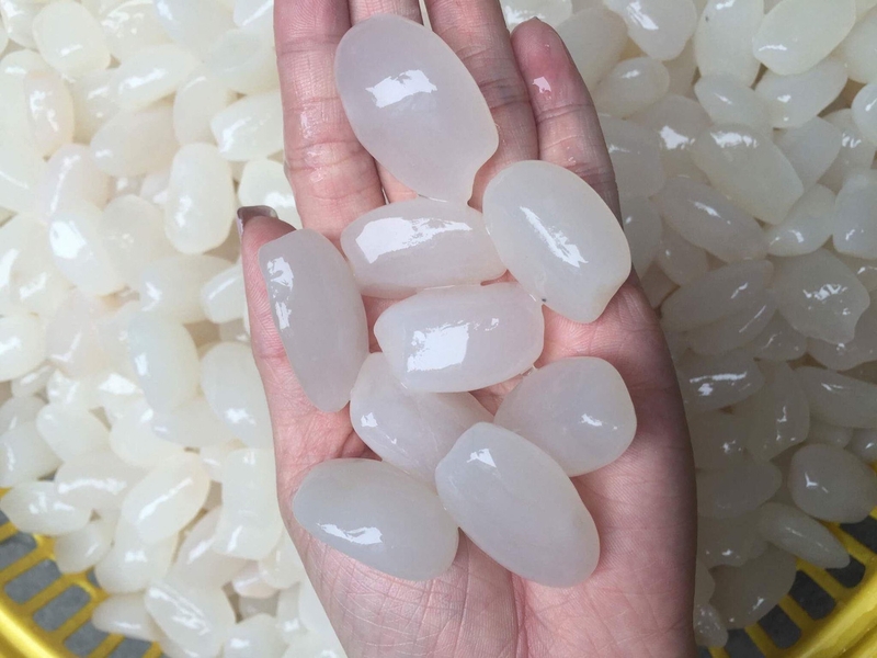 Hạt đác là gì? Cách bảo quản hạt đác hiệu quả 2