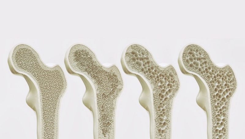 Hạt đác là gì? Cách rim hạt đác thơm ngon, bổ dưỡng 2