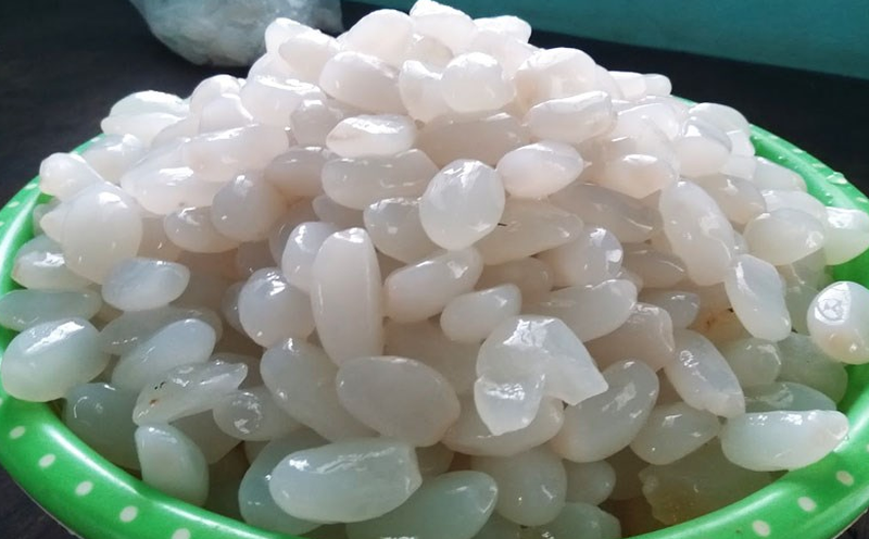 Hạt đác: Thực phẩm giàu dinh dưỡng, đặc sản nổi tiếng của Nha Trang 1