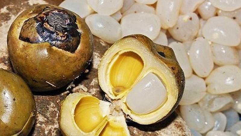 Góc giải đáp: Ăn hạt đác có mập không?