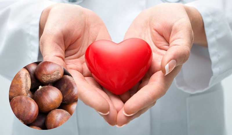 Hạt dẻ bao nhiêu calo? Ăn hạt dẻ có béo không? Một số lợi ích khi ăn hạt dẻ