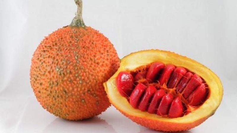 Hạt gấc chữa quai bị - hiệu quả ngay tại nhà 2