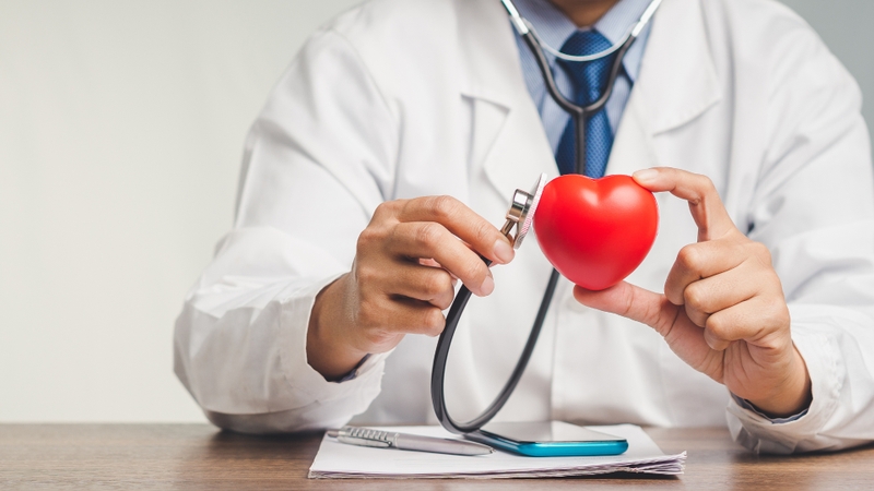 Hạt gai dầu chứa hàm lượng cao axit béo omega-3 và omega-6 tốt cho tim mạch