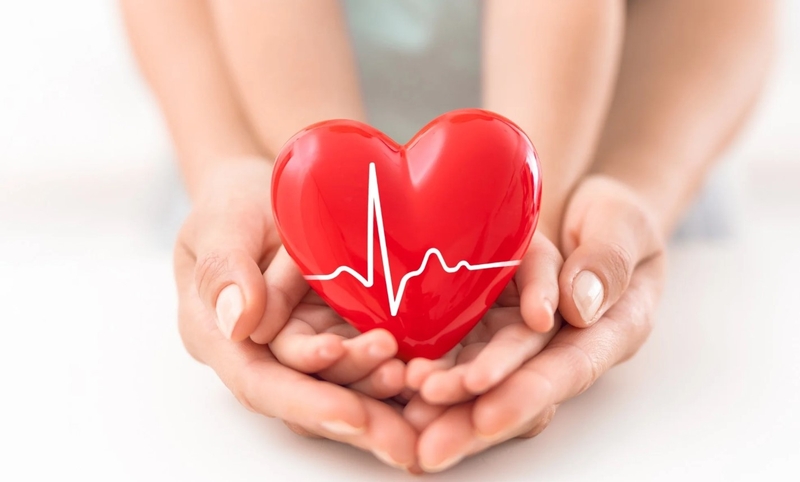 Hạt Konia có tác dụng gì? Lưu ý khi sử dụng hạt Konia 2