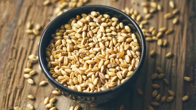 Hạt lúa mì​ và 10 công dụng vàng với sức khỏe 4