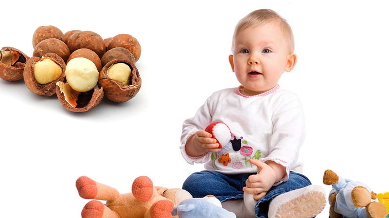 Hạt macca ăn sống được không? Tác dụng của hạt macca sống 3