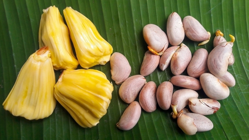 hạt mít mọc mầm có ăn được không 1