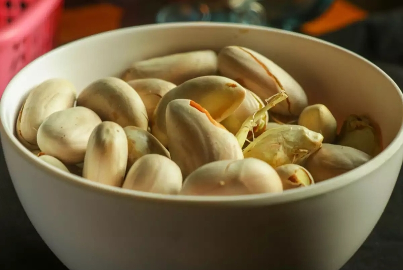 hạt mít mọc mầm có ăn được không 5