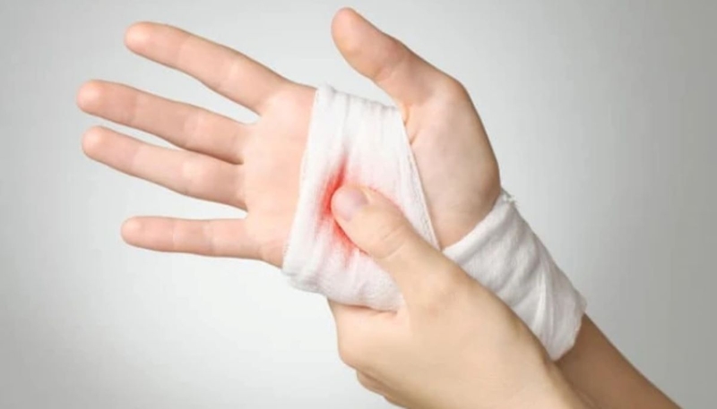 Hạt nhãn có tác dụng gì đối với sức khỏe theo góc nhìn Đông Y? 2