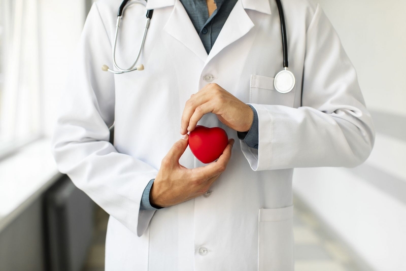 Hạt sen có tác dụng gì? Vỏ hạt sen uống được không? 3