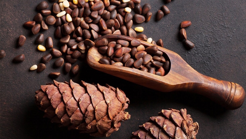 Ăn hạt thông có béo không?