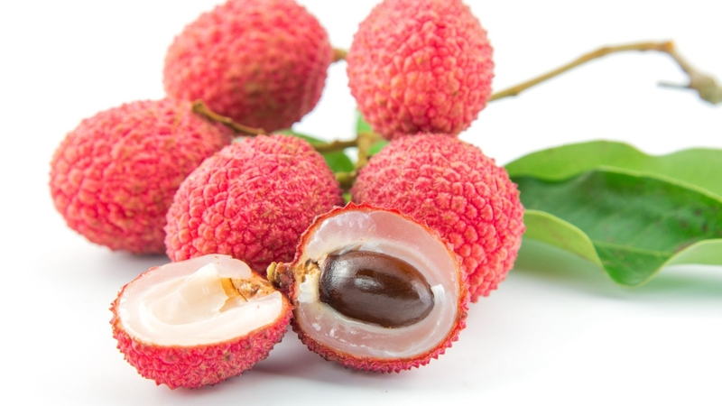 Trong y học cổ truyền, hạt vải được gọi là lệ chi hạch, thường được mô tả có tính ôn, vị ngọt và hơi đắng