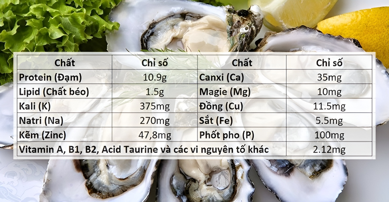 Hàu bao nhiêu calo? Liệu ăn hàu có béo không? 1