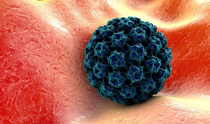 Hậu môn nổi mụn: Nguyên nhân cách điều trị hiệu quả 3