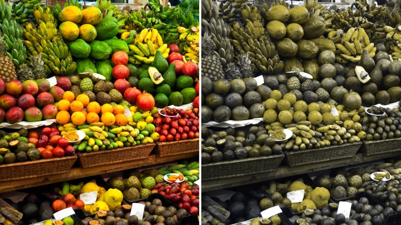 Hậu quả của bệnh mù màu đến cuộc sống 1