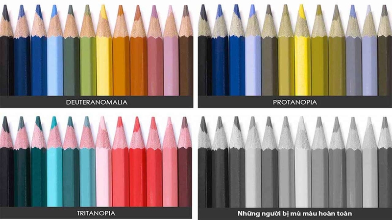Hậu quả của bệnh mù màu đến cuộc sống 3