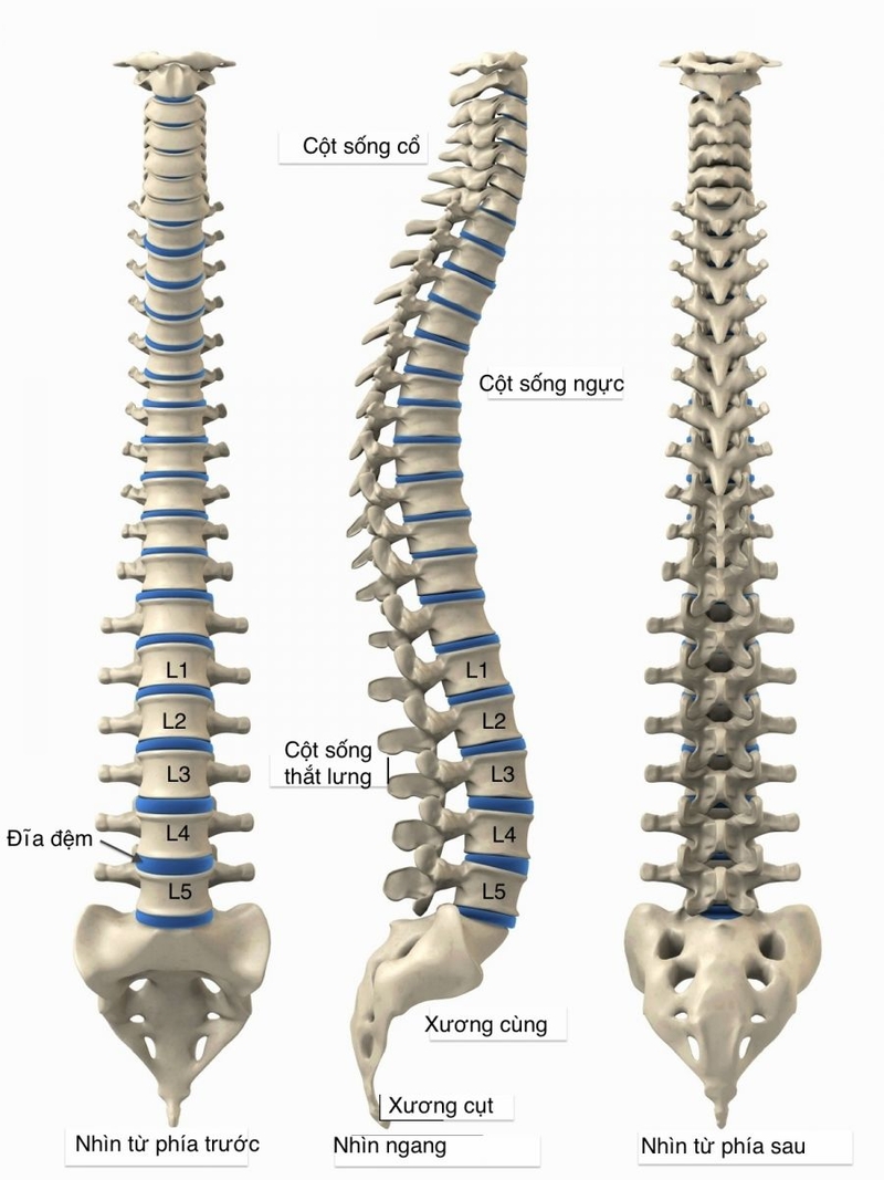 Hậu quả của thoái hoá cột sống cổ mà mọi người cần biết 1