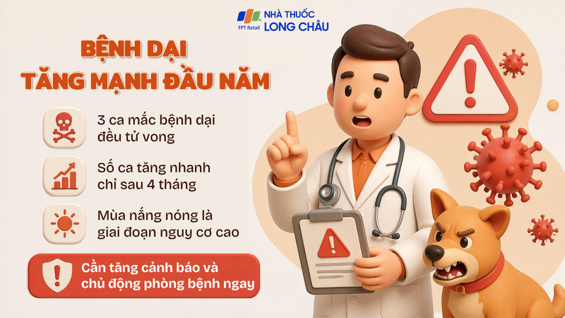 Chó chưa tiêm phòng dại làm tăng nguy cơ lây nhiễm trong cộng đồng