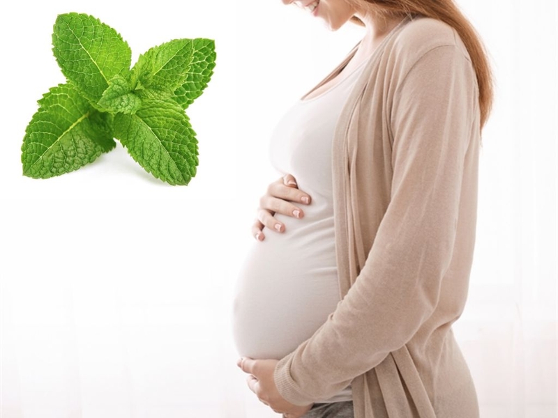 Hé lộ 9 công dụng của lá bạc hà và giải đáp thắc mắc bầu ăn rau bạc hà được không 2