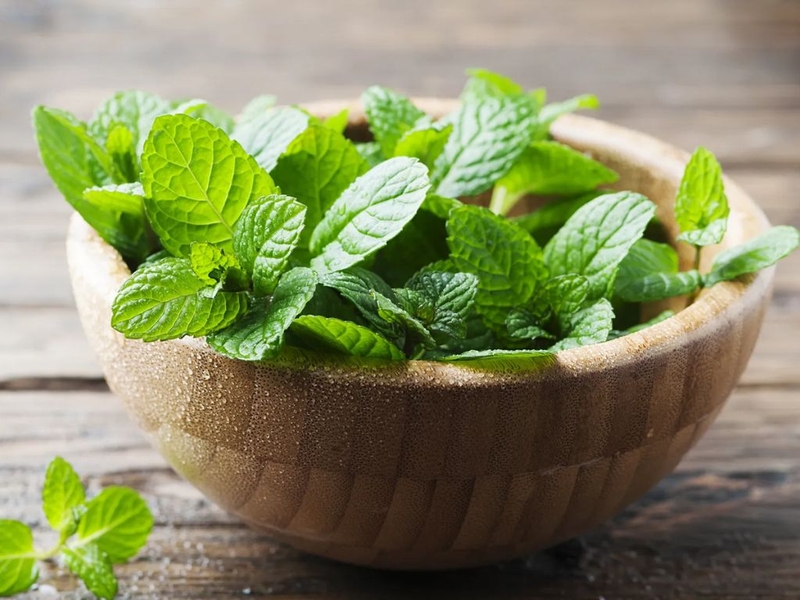 Hé lộ 9 công dụng của lá bạc hà và giải đáp thắc mắc bầu ăn rau bạc hà được không 3