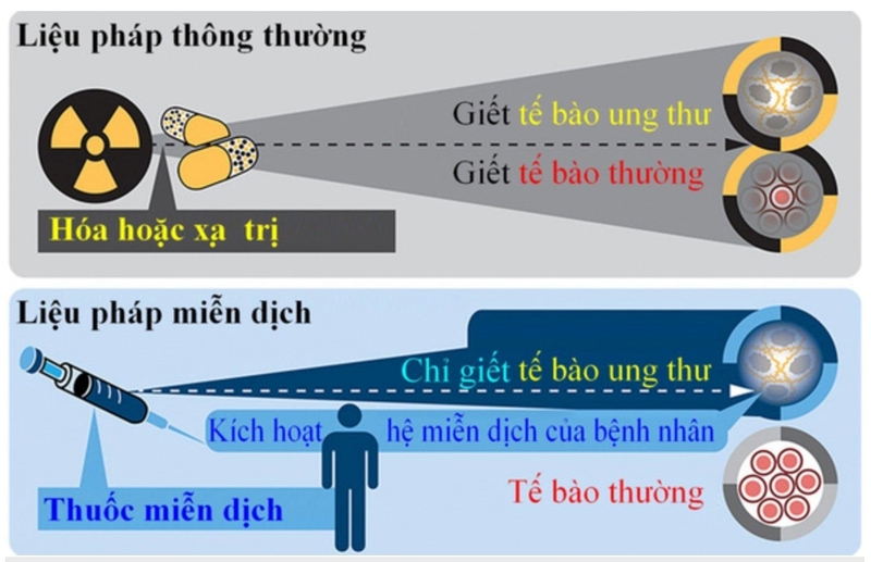 Hệ miễn dịch và liệu pháp miễn dịch trong điều trị ung thư 3