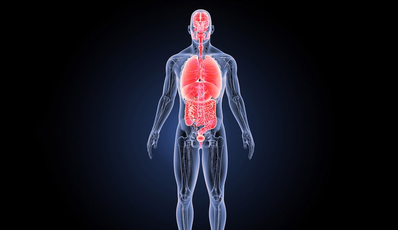 Hệ thống nội tiết gồm bộ phận nào và Rối loạn hệ thống nội tiết 2