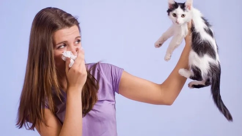 Hen phế quản nên ăn hoa quả gì? Những lưu ý quan trọng 2