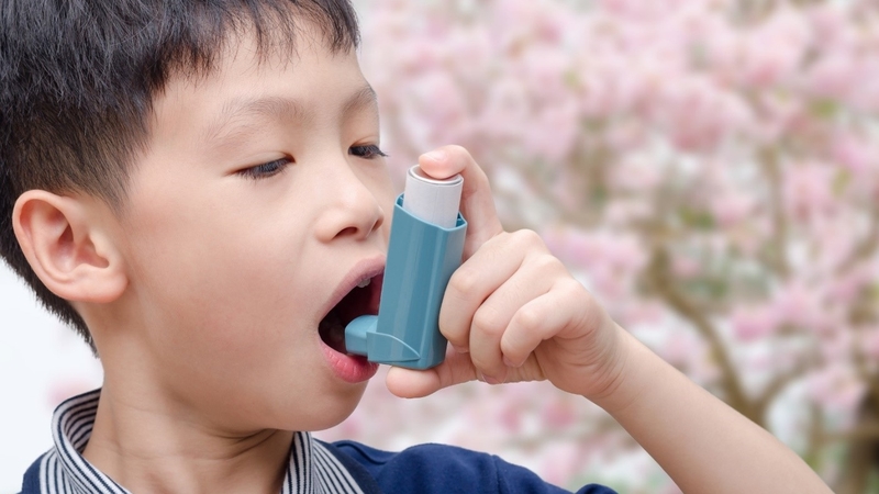 Hen suyễn về đêm: Nguyên nhân, cách xử lý và phòng ngừa 4