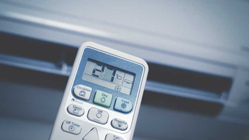 Hen suyễn về đêm: Nguyên nhân, cách xử lý và phòng ngừa 4