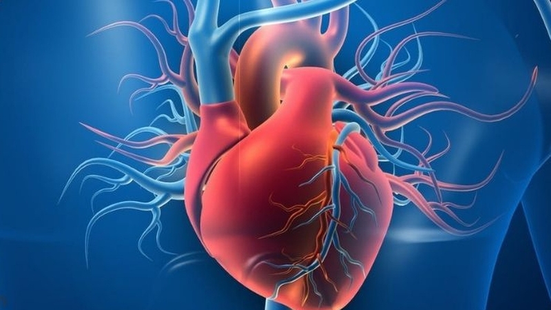 Hẹp van 3 lá là bệnh gì? Triệu chứng và cách điều trị 1