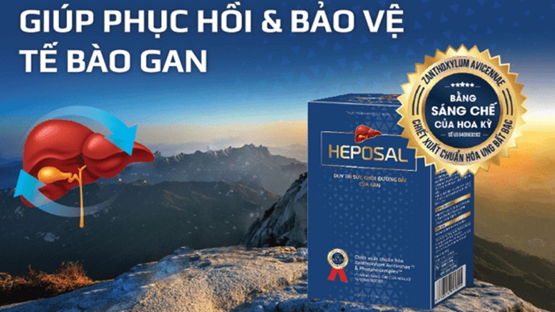Heposal có tốt không? Heposal là thuốc hay thực phẩm chức năng? 2