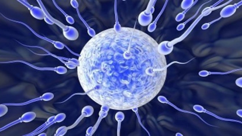 Giải đáp thắc mắc hiếm muộn có di truyền không 2