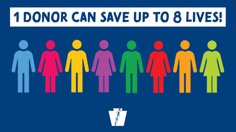 hiến tạng là gì 2