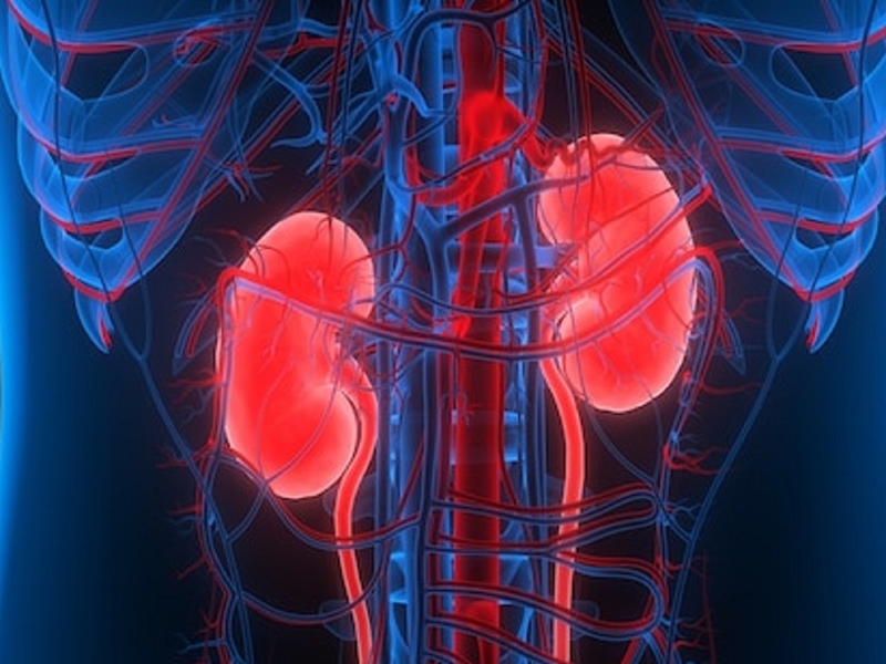 hiến tạng và hiến xác khác nhau thế nào 3