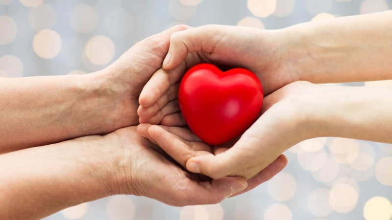 Người đăng ký hiến tim được Nhà nước bảo vệ quyền lợi