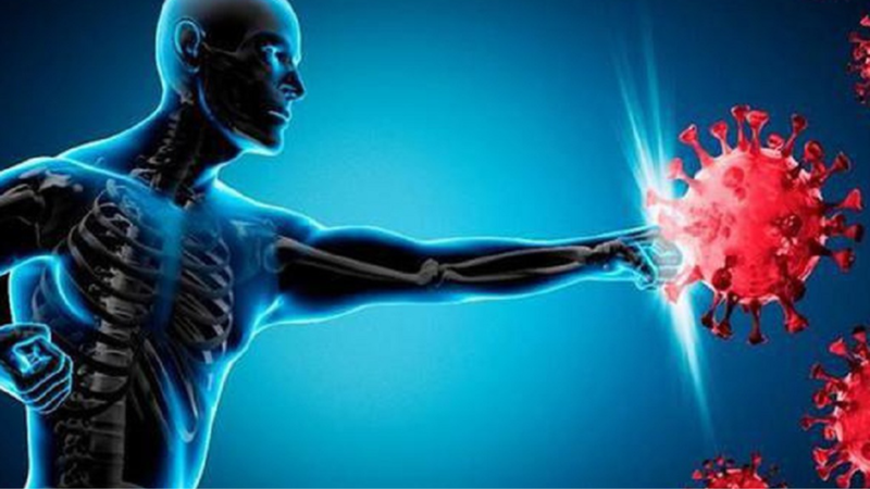 Hiện tượng opsonin hóa là gì? 1