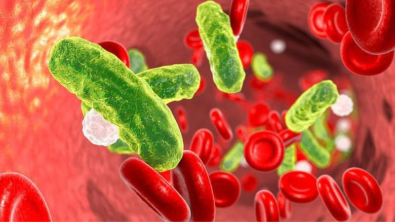 Hiện tượng opsonin hóa là gì? 2