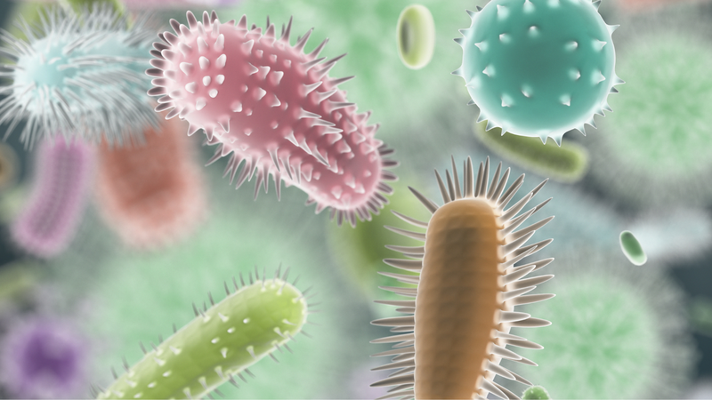 Hiện tượng opsonin hóa là gì? 3