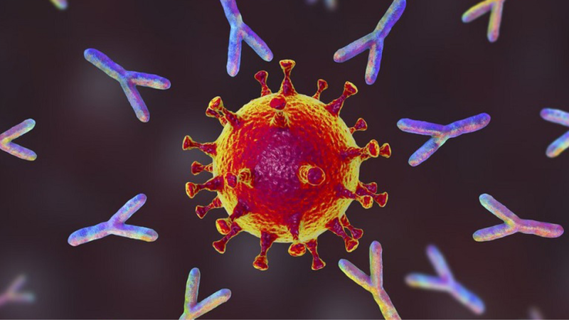 Hiện tượng opsonin hóa là gì? 4