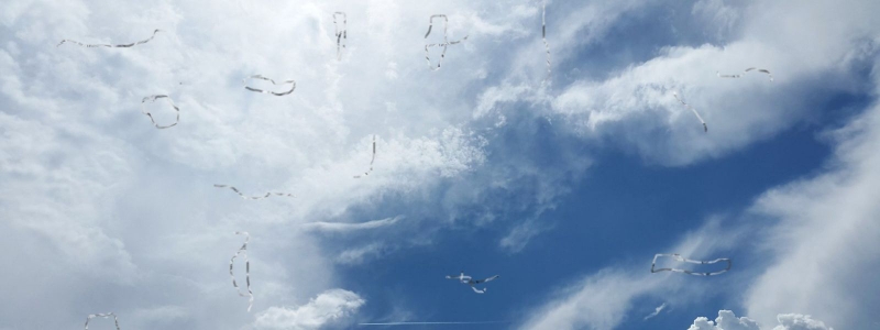 Hiện tượng ruồi bay sau khi mổ mắt: Nguyên nhân và điều trị 1