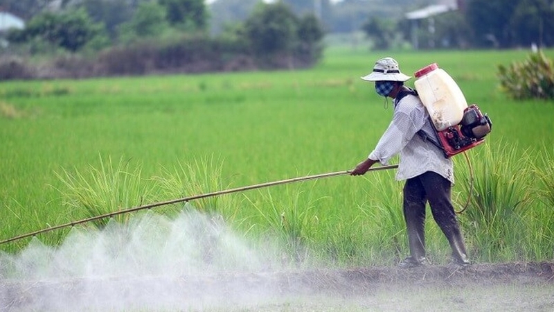Hiểu biết về nhiễm độc thần kinh: Nguyên nhân, triệu chứng và cách phòng ngừa 4