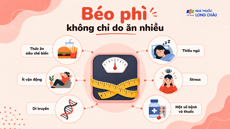 Nguyên nhân béo phì phức tạp hơn nhiều người nghĩ