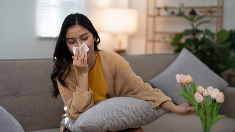 Phấn hoa là một trong những nguyên nhân gây viêm mũi dị ứng