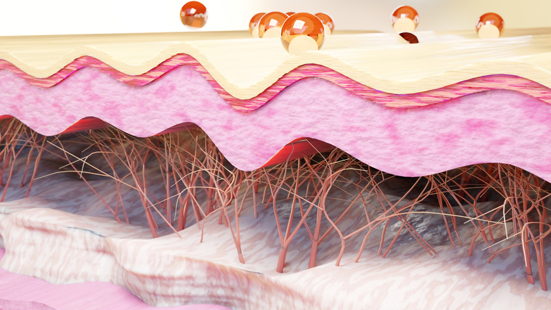 Hiệu quả của những phương pháp bổ sung collagen để làm đẹp da 2