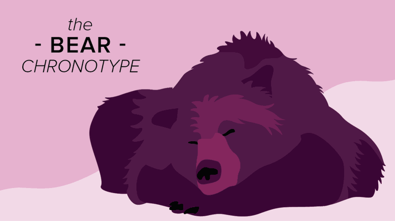 Hiểu rõ 4 kiểu đồng hồ sinh học để làm việc hiệu quả hơn 3